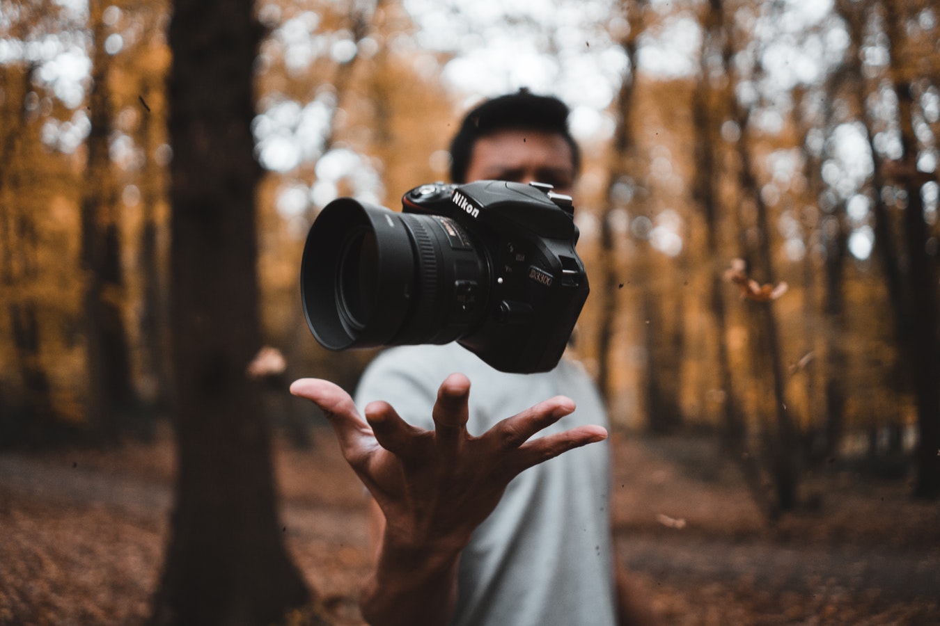 Éditeur de photos
